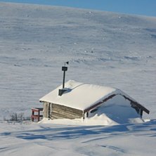 Foto: Kalle Carlsson.