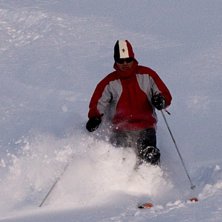 Garten. Foto: Patrick S&ouml;dermark. &Aring;kare: Tony.