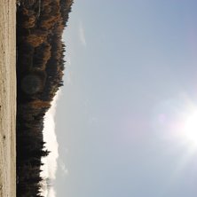 Foto: Linn &Ouml;stlund.