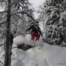 Dum gren iv&auml;gen :P. Foto: Joakim Torkelson. &Aring;kare: Sara Torkelson.