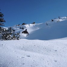 Foto: richie larsson. &Aring;kare: Emil Lisj&ouml;.