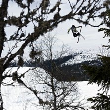 Foto: Magnus karlsson. &Aring;kare: Daniel Swanbeck.