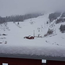 Jippi, masse nysn&oslash;!
Det har kommet mye nysn&oslash; i n.