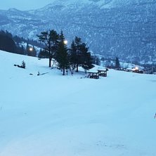 Regnet gir god gli :-)
Dagen i dag er v&aring;t og regn.