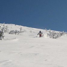 tillsynes or&ouml;rd djup pudersn&ouml; en vacker aprildag. Foto: Olle wadsten. &Aring;kare: johan wadsten af wadstena.