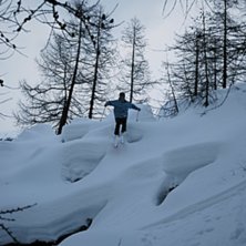Foto: Tobias L&ouml;&ouml;f. &Aring;kare: Anton Villberg.