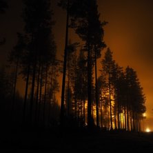 Vi &aring;pner til helgen
Endelig kom kulden og de sist.