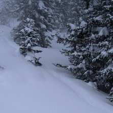 Sv&auml;nger i snorkelsn&ouml;. Foto: Theo Birkner. &Aring;kare: Johan Augustsson.
