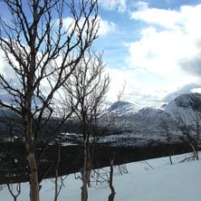 Foto: Karin Agestam.