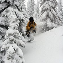 Dagen efter en 40cm dump. Foto: Henrik Karlsson. &Aring;kare: Tobias Gustafsson.