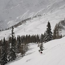 Foto: Anton. &Aring;kare: Johan Ekbladh.