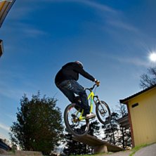 Abobaca p&aring; en b&auml;nk. Foto: Simon Pont&eacute;r. &Aring;kare: Joakim Nilsson.