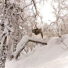 ALLTING var st&auml;ngt pga sjukt bl&aring;sigt s&aring; vi gick. Foto: Pap. &Aring;kare: Viktor Lindqvist.