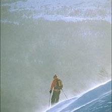 Niclas Cronsioe, hummelbranten, &aring;re
. Foto: David Elmfeldt. &Aring;kare: Niclas Cronsioe.