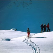 Ullis glider framemot polarna Uffe, Johan och Hele. Foto: David Elmfeldt.
