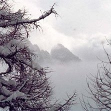 Foto: David K&auml;ck.