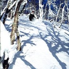 Foto: Stefan Karlberg. &Aring;kare: David Kantemo.