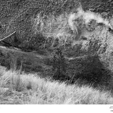 Foto: Sterling Lorence. &Aring;kare: Matt Hunter.