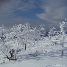 Foto: Andrea Elmelid.