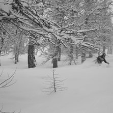 Foto: Andreas Lindroth. &Aring;kare: Jessica Nordlander.
