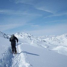 P&aring; jakt efter or&ouml;rt puder!. Foto: Tommy &Ouml;man. &Aring;kare: Marcus Holmstr&ouml;m.