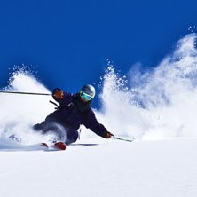 Goa sv&auml;ngar ihop med en goo snubbe. Foto: Christian Fickler. &Aring;kare: Robin Ljungqwist.