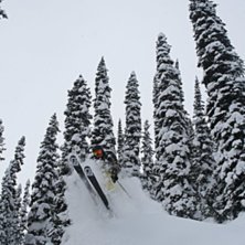 Foto: andrea ahlenius. &Aring;kare: mark ahlenius.