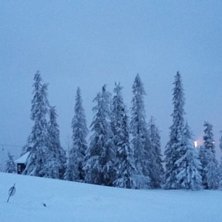 Det sn&oslash;r!
Endelig har det kommet litt sn&oslash;! Flott.