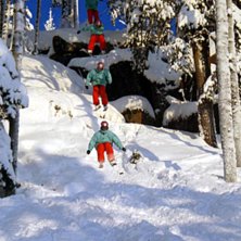 Solig dag i k&aring;bdalis. Foto: oskar lind. &Aring;kare: Elias Henderson.