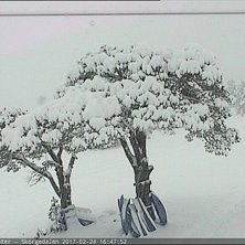 Full fart i anlegget i morra 25 febr
Det har n&aring; l.