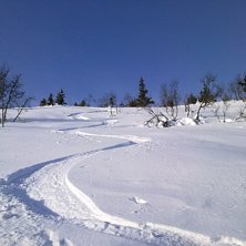 Foto: Mountain Man. &Aring;kare: Mountain Man.