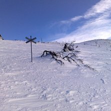Foto: Fredrik &Aring;kerblom.