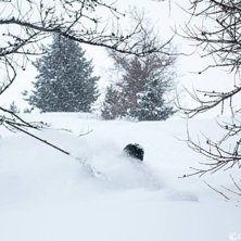 Rider: Martin Kock Jacobsen DK
Photo: Niclas Karl.