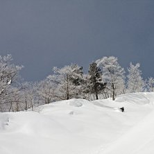 Efter ett stordump p&aring; 60 cm var vattenfallet ff o. Foto: Alexander Thurban. &Aring;kare: David Clemensson.