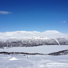 Rakt fram!. Foto: Gustav Corin.
