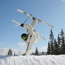 En liten handplant sis&aring;d&auml;r. Foto: Victor Sj&ouml;berg. &Aring;kare: Andreas &Ouml;jbrandt.