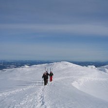Foto: Johan Sk&ouml;ld.