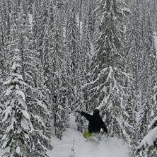 &Aring;kare: Ulf Sj&ouml;holm.