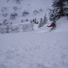 Sk&ouml;n skogs&aring;kning i sn&ouml;fallet!. Foto: Anders Schelander. &Aring;kare: Robert Hortlund.