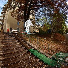 assk&ouml;nt r&auml;cke.. Foto: Alexander Runhellen. &Aring;kare: Oscar Wester.