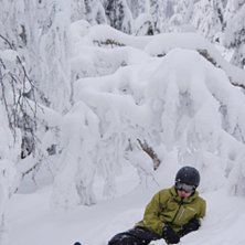 Mjuk h&auml;rlig sn&ouml;.... Foto: Berth Westman. &Aring;kare: Robert Westman.