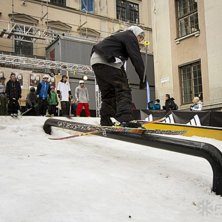 Winter Show i Kungstr&auml;dg&aring;rden 2014.. Foto: Hedda Berander.
