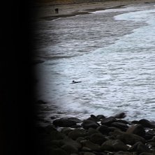 Foto: Christine Hargin.