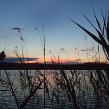 Jag &amp;amp; Emma hade &auml;ntligen hittat badbollen. Foto: Anna Brask.