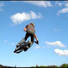 ett litet hopp som en gr&auml;vmaskin kom &aring; tog f&ouml;r . Foto: niclas olsson. &Aring;kare: johan lantz.