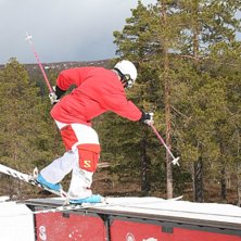 Pretzel. Foto: Hampus. &Aring;kare: Cristopher Hj&auml;lmeby.