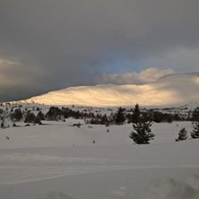 P&aring;ska 2016
P&aring;ska er i gong p&aring; Stryn Vinterski. .