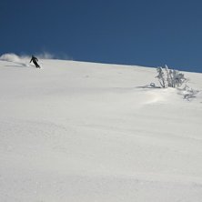 skid&aring;kning n&auml;r den &auml;r som b&auml;st, pudersn&ouml; och . Foto: Johan wadsten. &Aring;kare: Marcus wadsten.