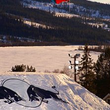 Tagen under Jon Olsson Invitational. F&ouml;rst&aring;r int. Foto: Johan St&aring;hlberg. &Aring;kare: Pk Hunder.