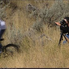 Foto: Sterling Lorence.